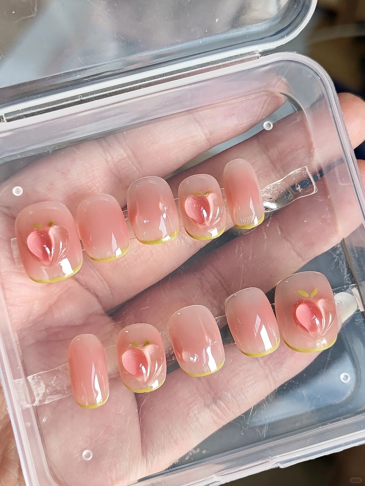 圖／小紅書號：636032165