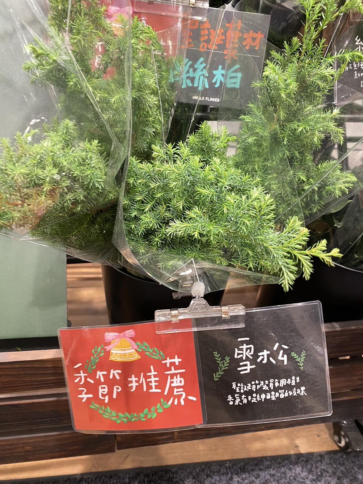 圖片來源：UNIQLO Flower