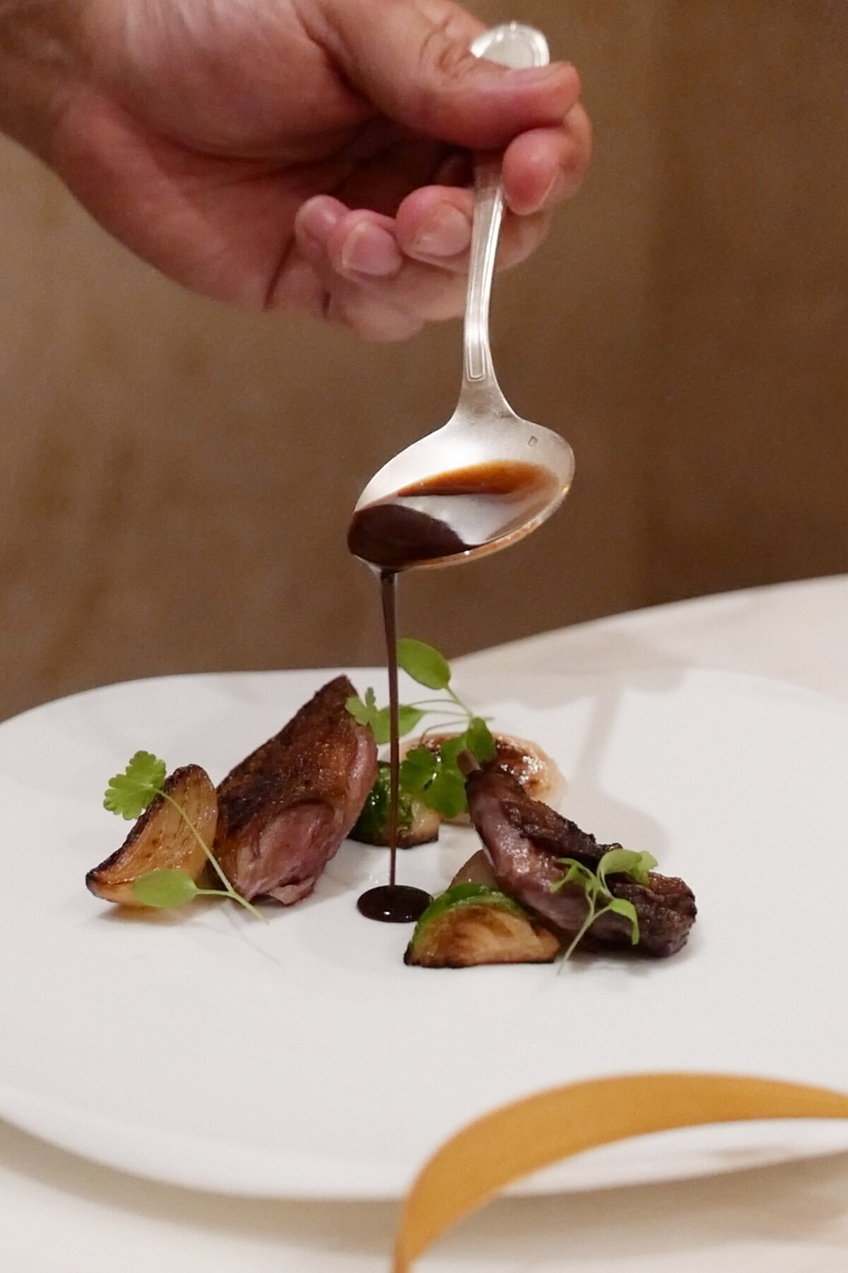 主餐「乳鴿・蕪菁・綠扁豆 Pigeon, Turnip, Lentils」。