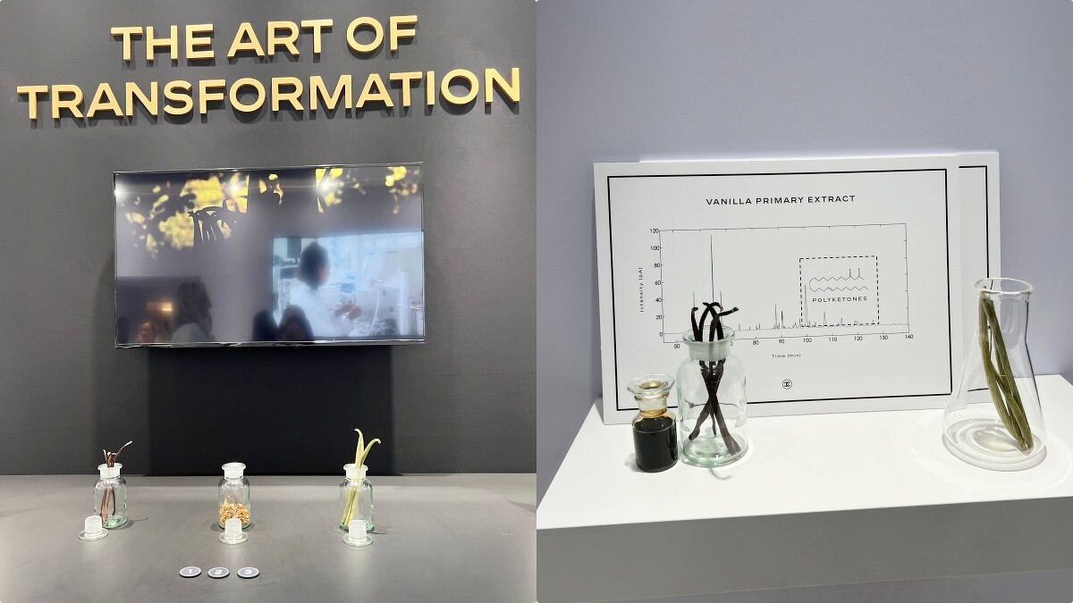 五月梵尼蘭含有多種有效成份，從中可提煉出具有卓效活性的精萃。