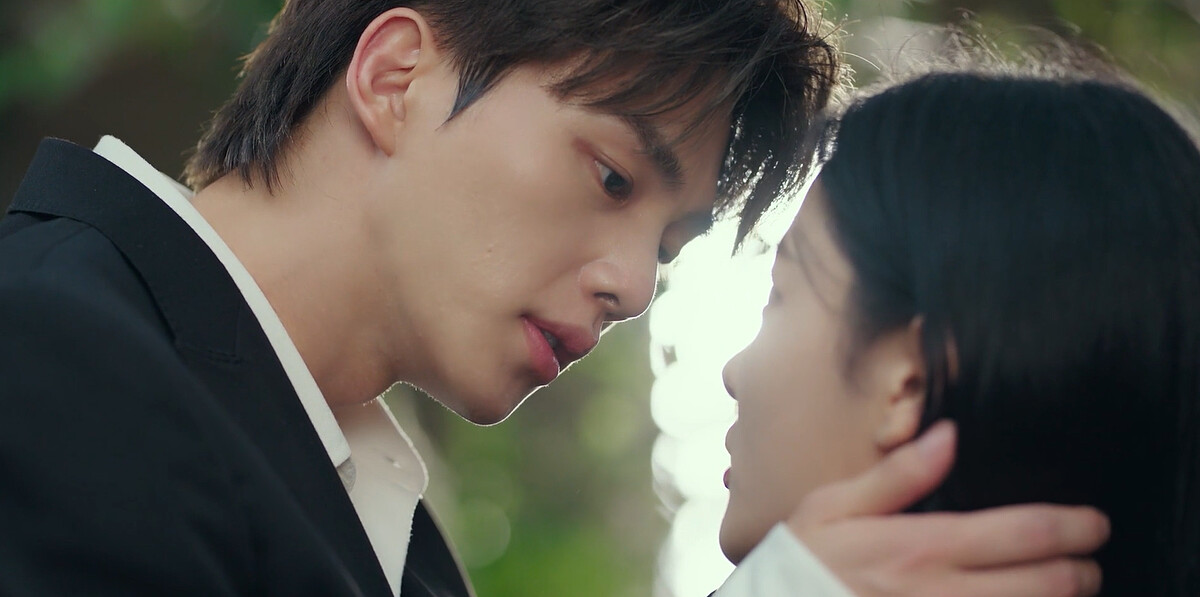 九元告白到曦願為她死無所畏懼