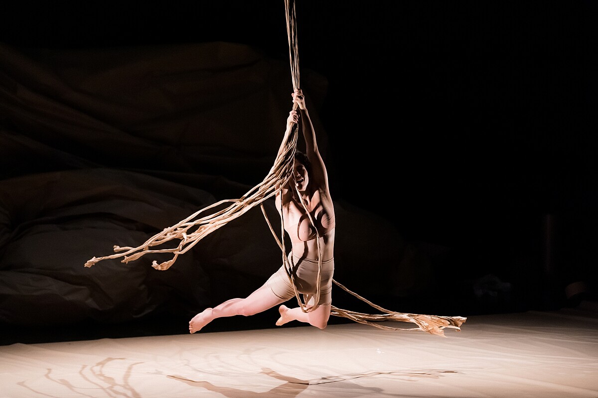 《紙Pli》攝影 Milan Szypura