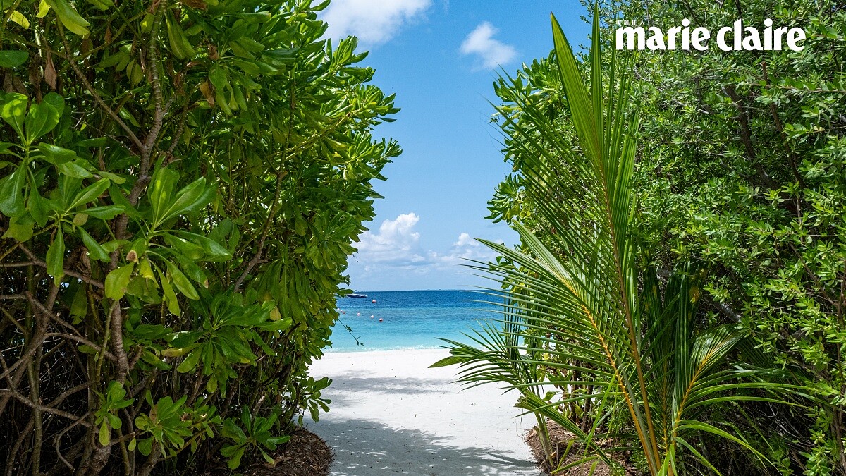 海灘別墅的陽台能直奔大海