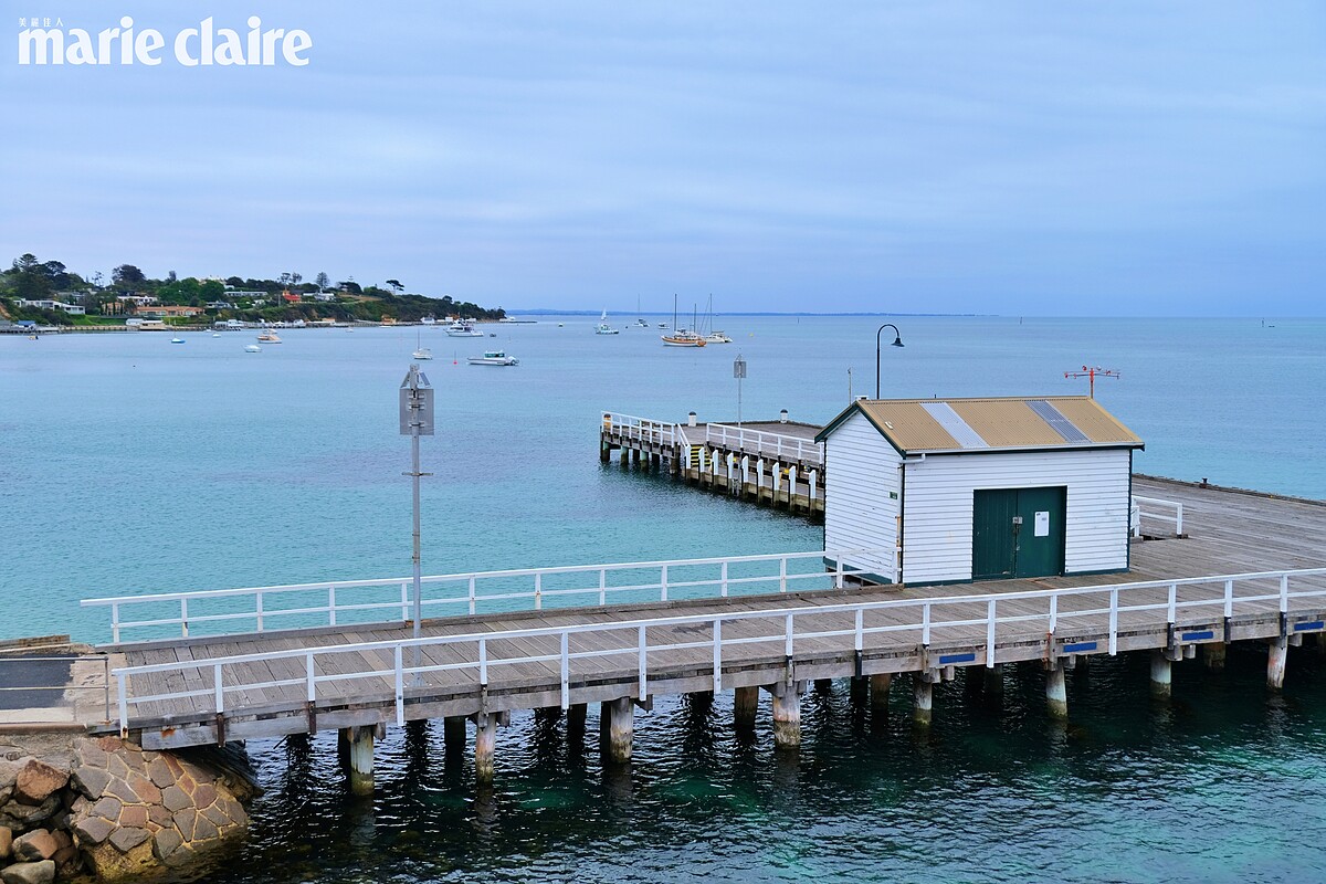 在索倫托碼頭（SORRENTO PEIR）搭乘可載700名乘客和80輛車的渡輪 Searoad Ferries。