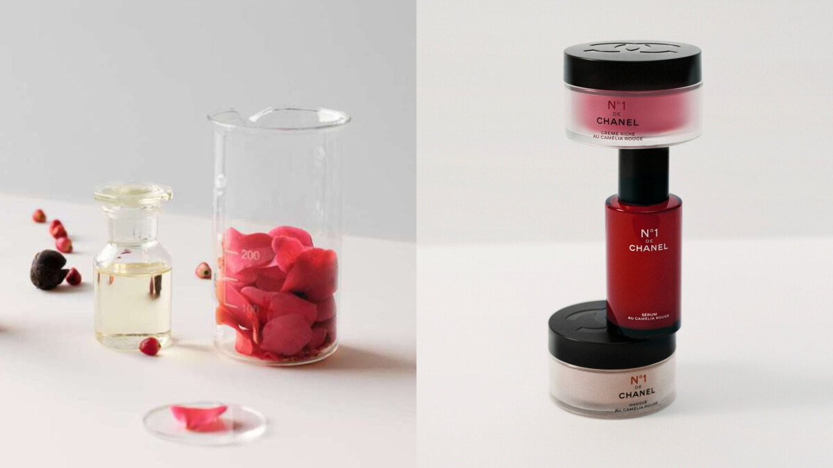 越簡單，就越優雅漂亮！2024以香奈兒紅色山茶花開啟巴黎女人的一日法式質感