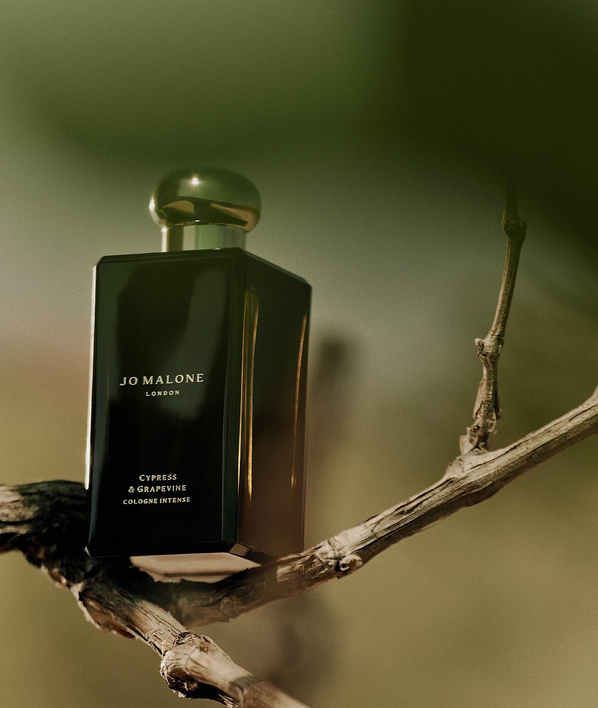 絲柏與葡萄藤芳醇香水 100ml NT$7,800