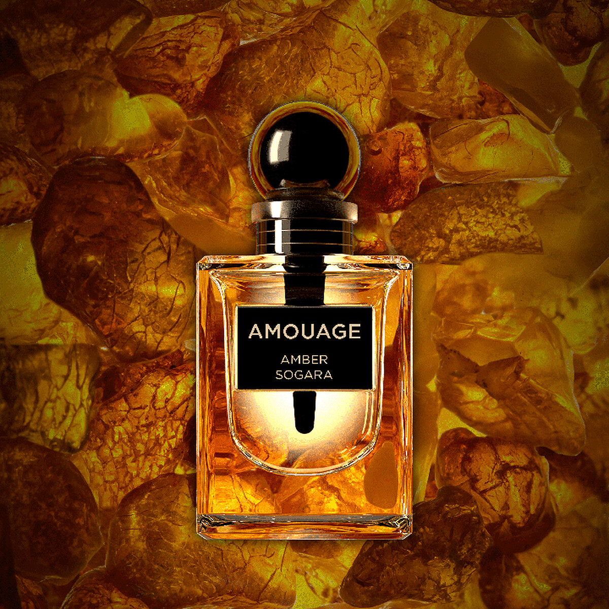 Amouage Amber Sogare索加拉琥珀12ml，NT18,800