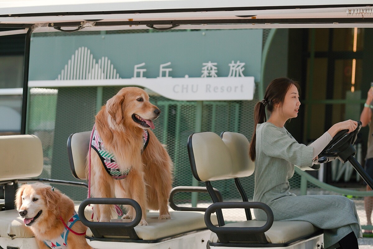 「丘丘・森旅CHU Resort」貼心地為毛小孩家庭提供三種不同的寵物友善客房。