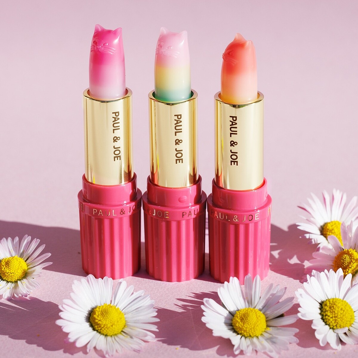 Paul & Joe貓咪香香限量漸層護脣膏情境圖。