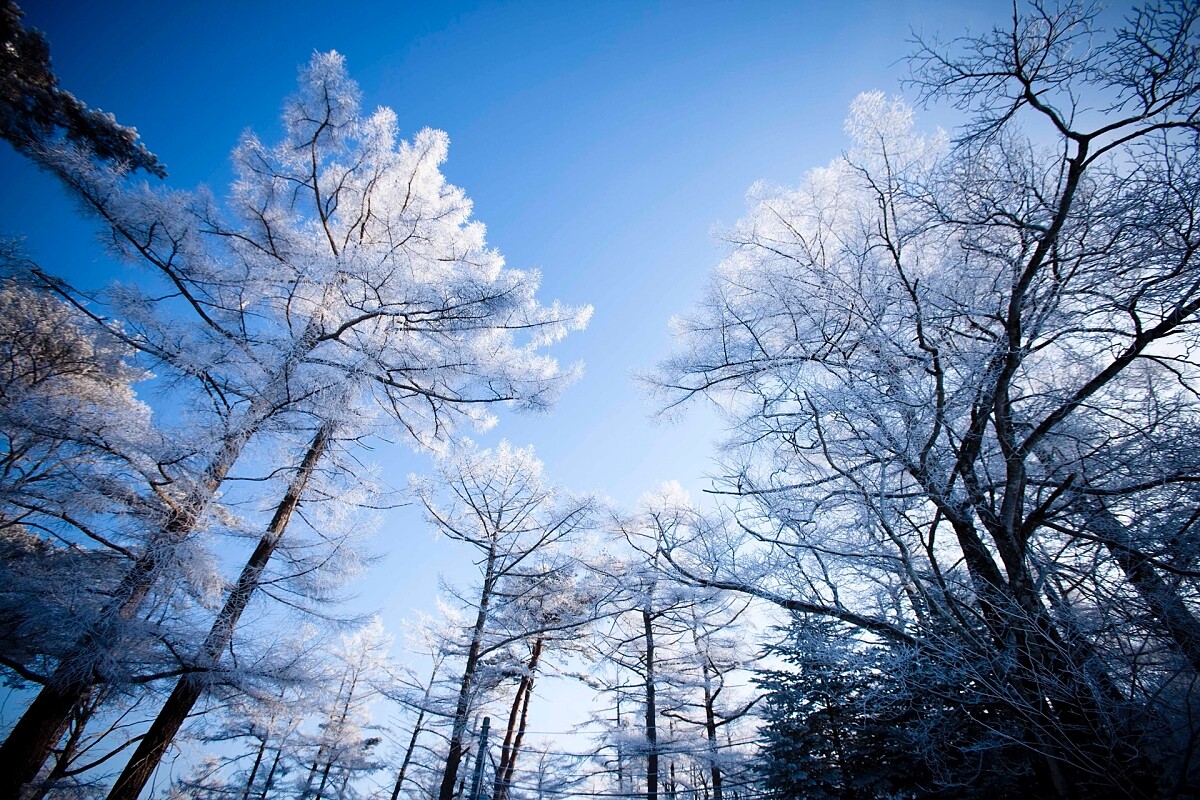 「輕井澤」是日本人眼中的度假勝地。