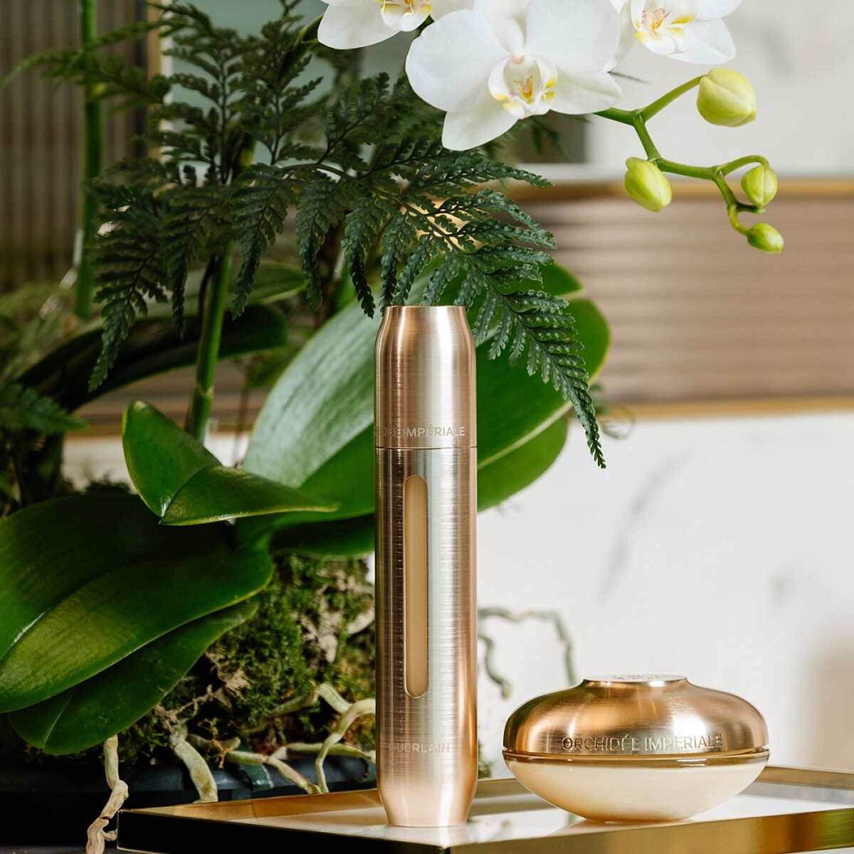 嬌蘭蘭鑽御光能量精華 3ml，NT27,730、補充瓶50ml，NT23,570