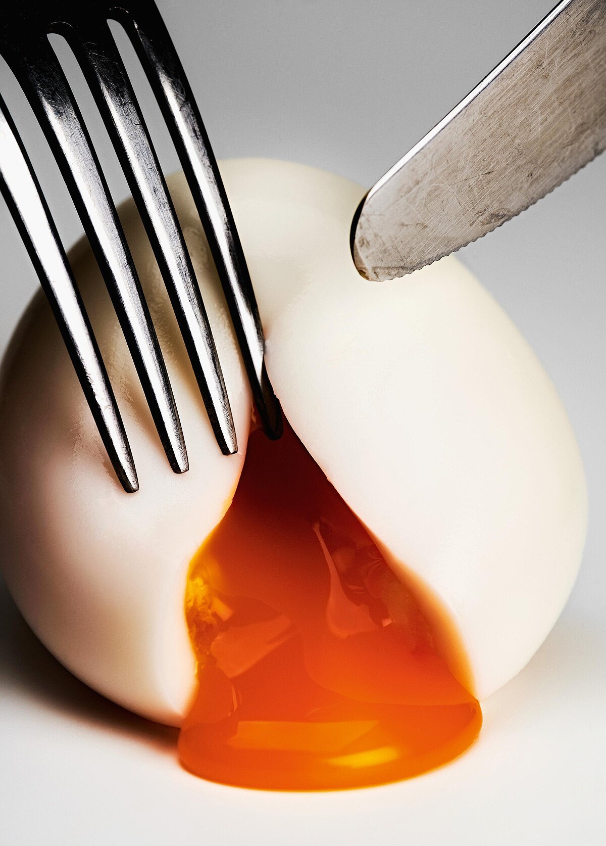 Bobby Doherty, Simply Eggs, 2021