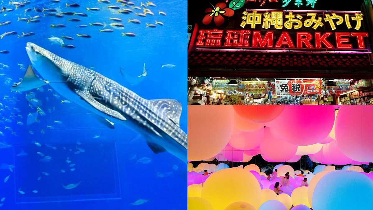 2025沖繩景點懶人包！亞洲最大水族館、無邊際海景咖啡廳、鳳梨園可愛必朝聖