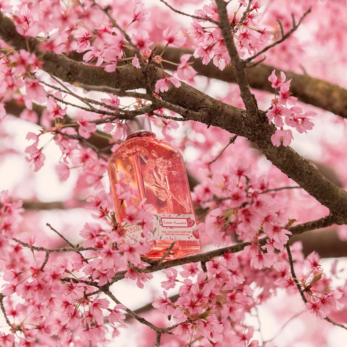 L'OCCITANE歐舒丹草莓櫻花沐浴膠250ml,NT880