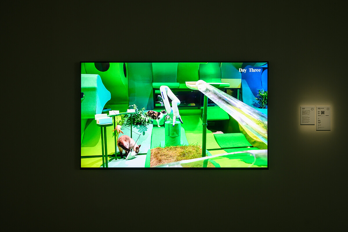 《貴族貓宮》 Cat Royale。攝影／王世邦 ANPIS FOTO