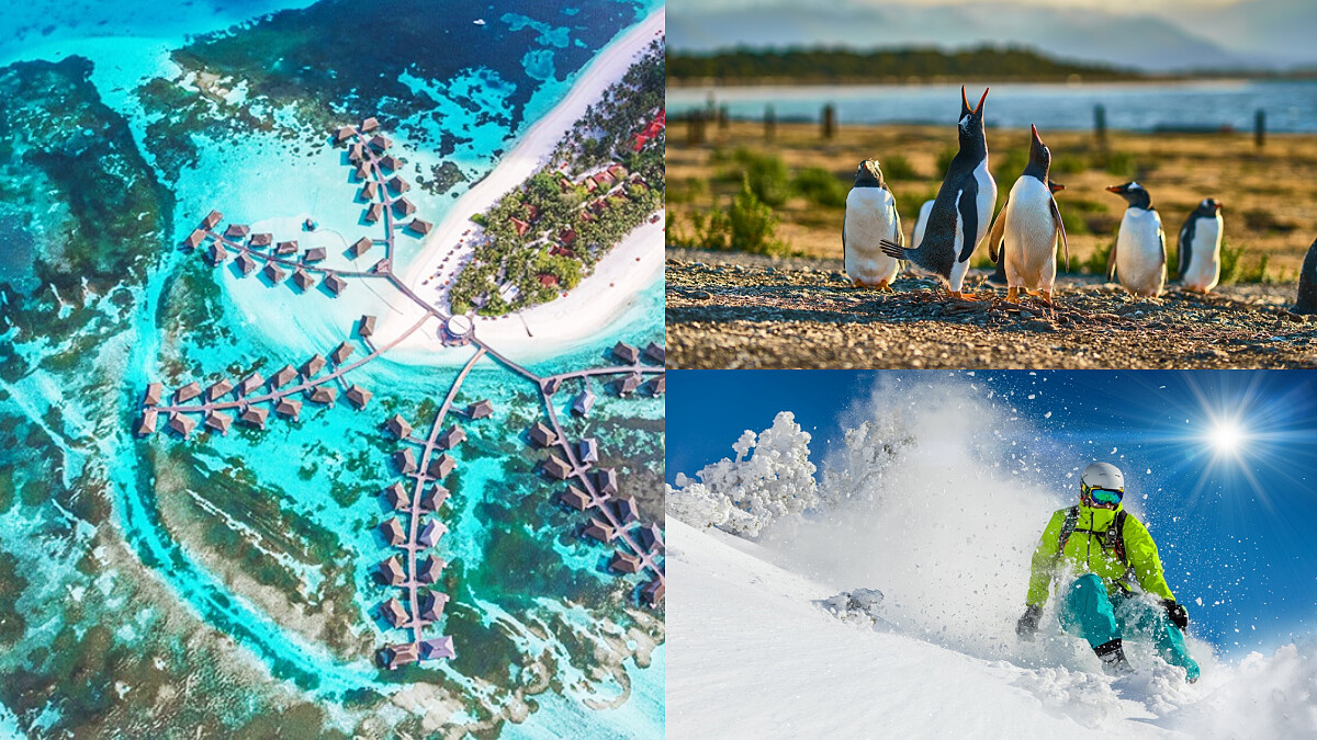 12生肖春節旅遊攻略！三生肖旅遊運最旺，兔龍狗最適合到大自然放鬆