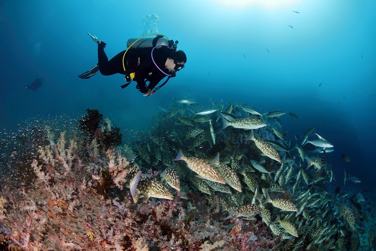 蘇林島（泰國光觀局提供）