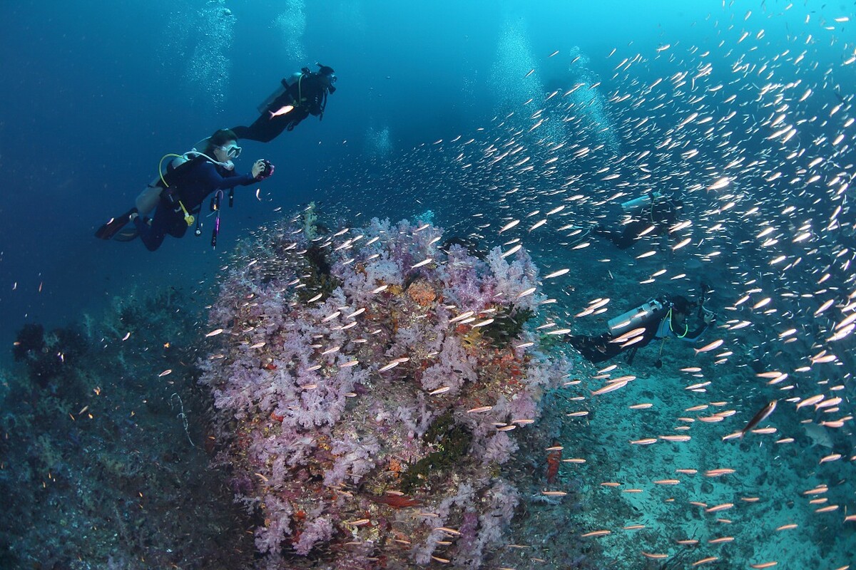 蘇林島（泰國光觀局提供）