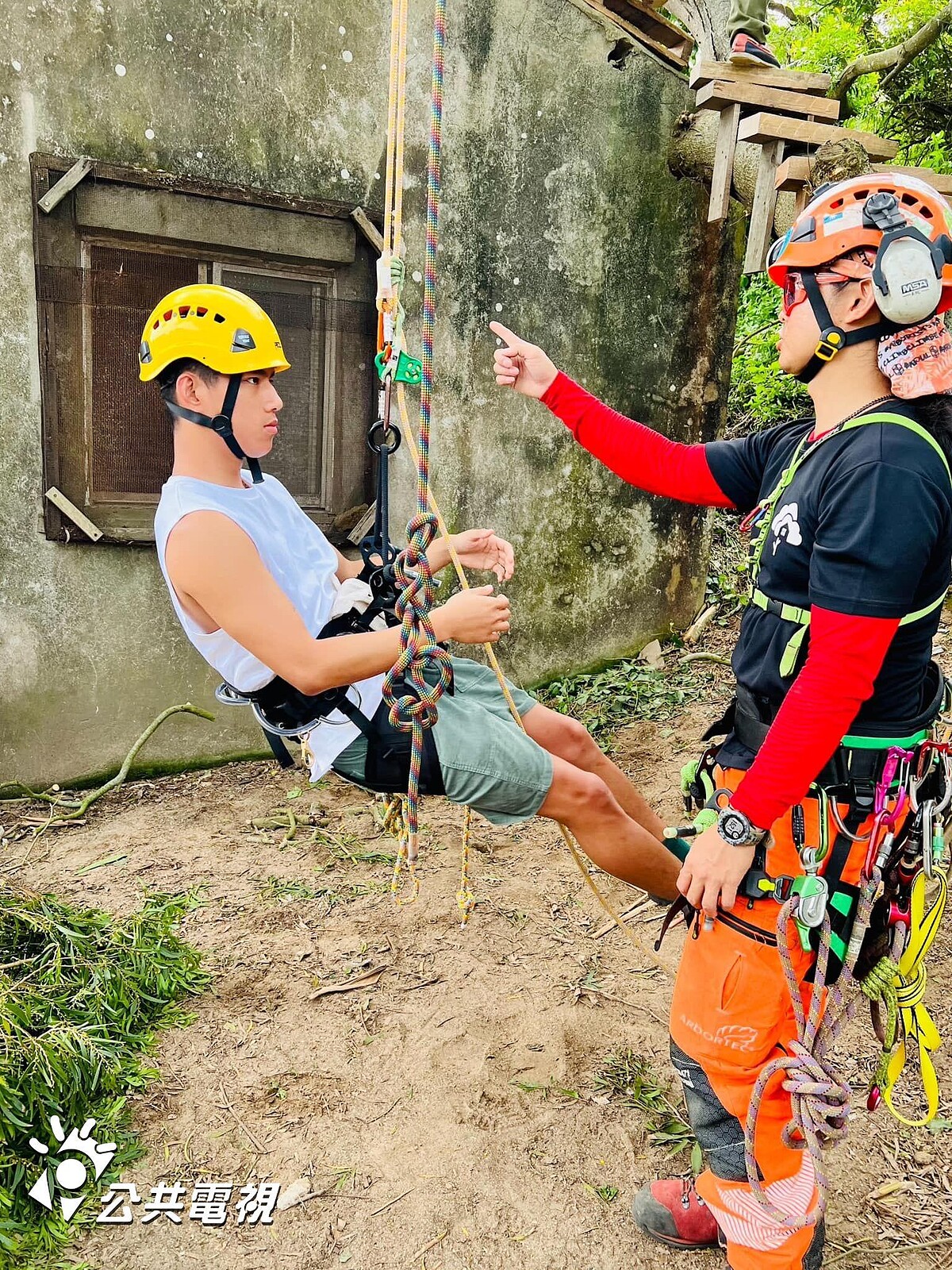 《二呆流浪記》朱軒洋自告奮勇擔任攀樹組被讚有做工潛力