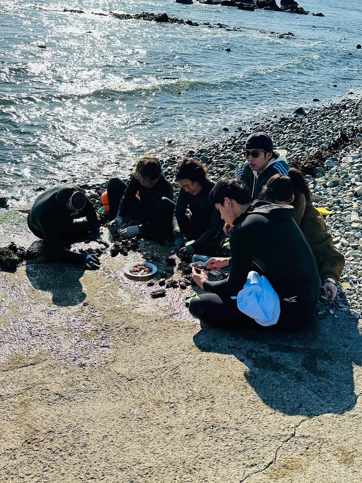 《演員們的旅行》一行人與海女們在海邊享用現採的海鮮，如同家人般溫馨可愛