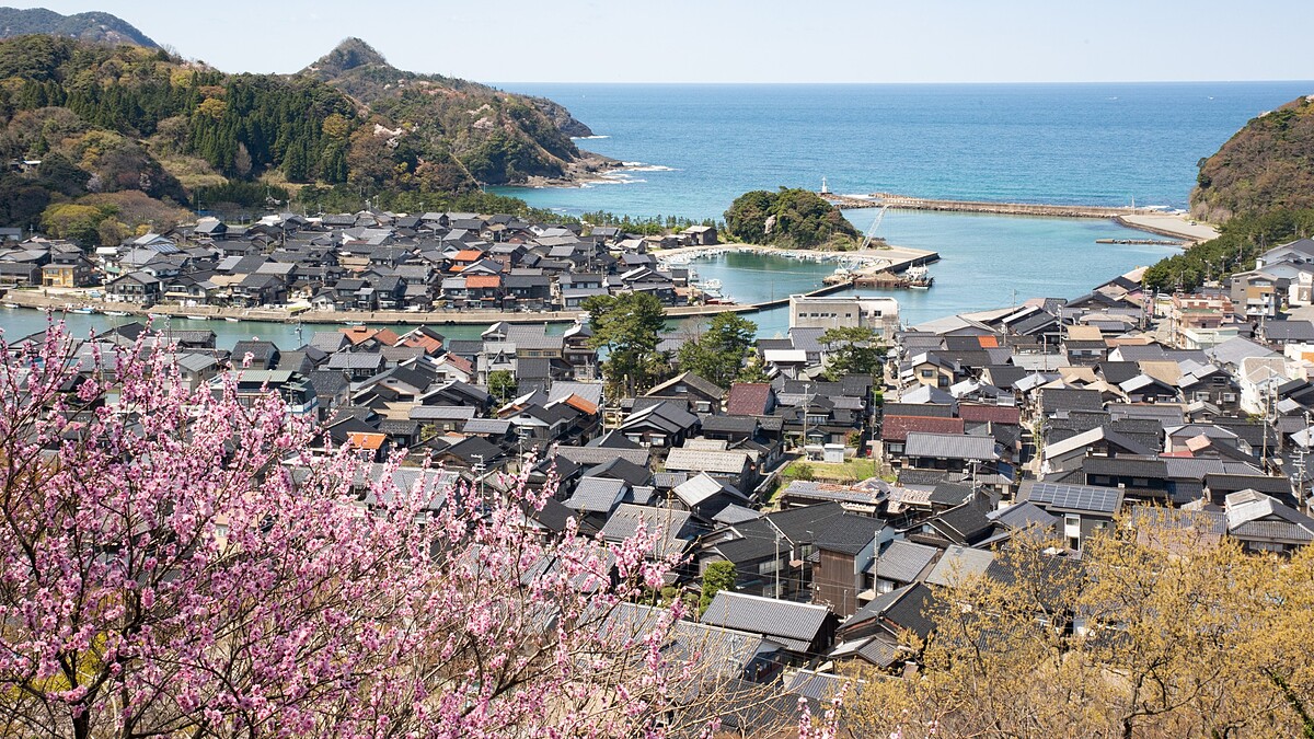 日本關西賞櫻秘境－竹野海岸！粉嫩春櫻交織蔚藍日本海的唯美百選絕景