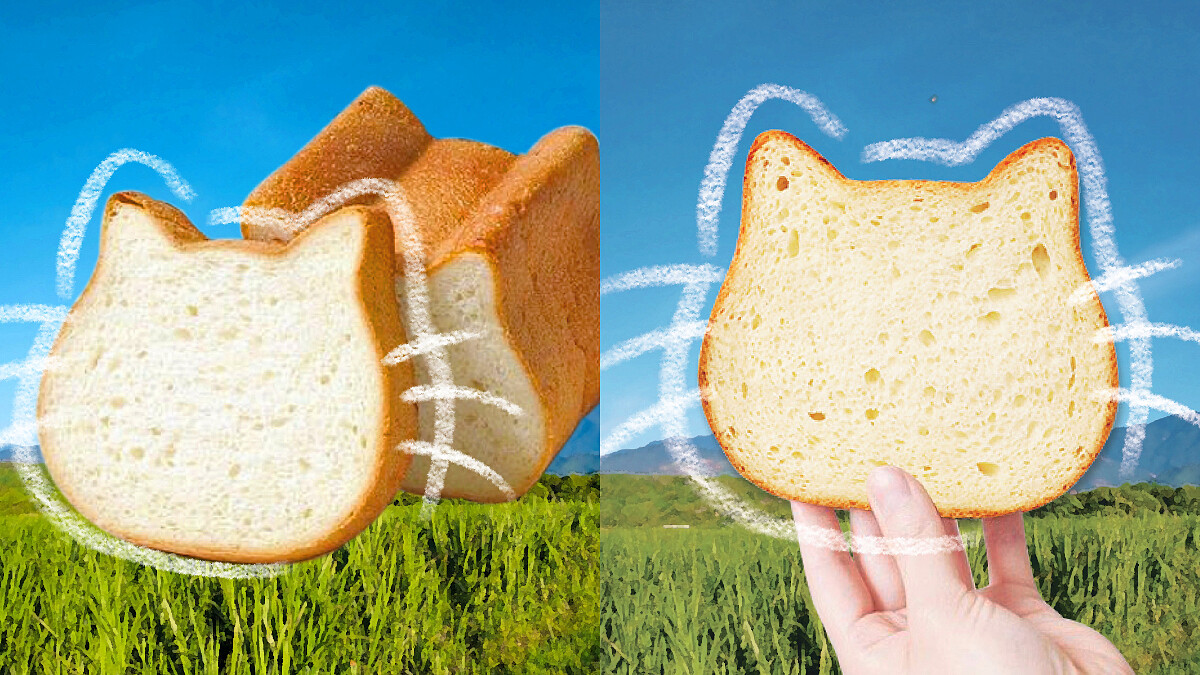 阿秀鮮乳 X NEKO NEKO SHOKUPAN攜手聯名，超軟Q「花蓮小農牛奶貓咪吐司」限定開賣