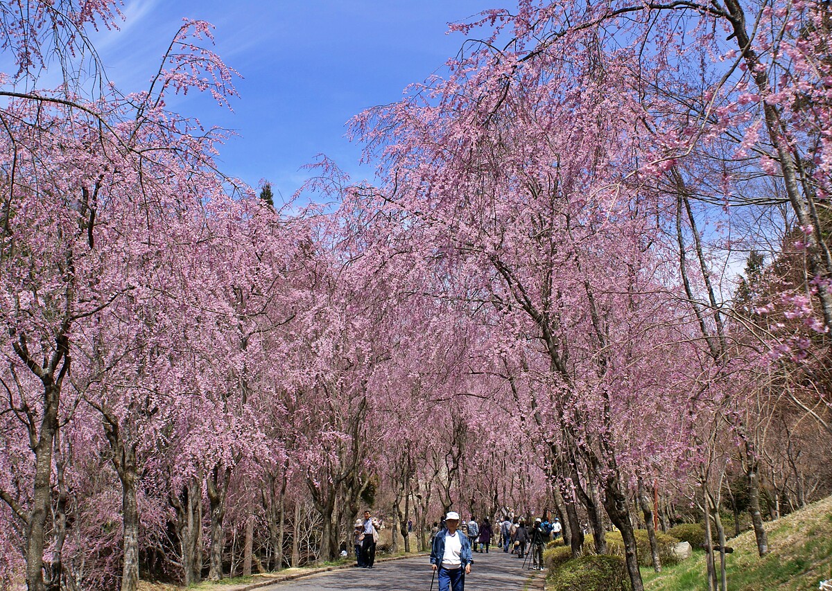 世羅甲山交流之里