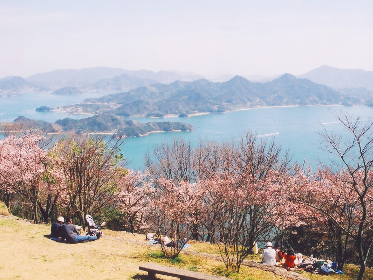 筆影山上種植2,000棵染井吉野櫻，是當地市民春天賞花野餐的好去處。