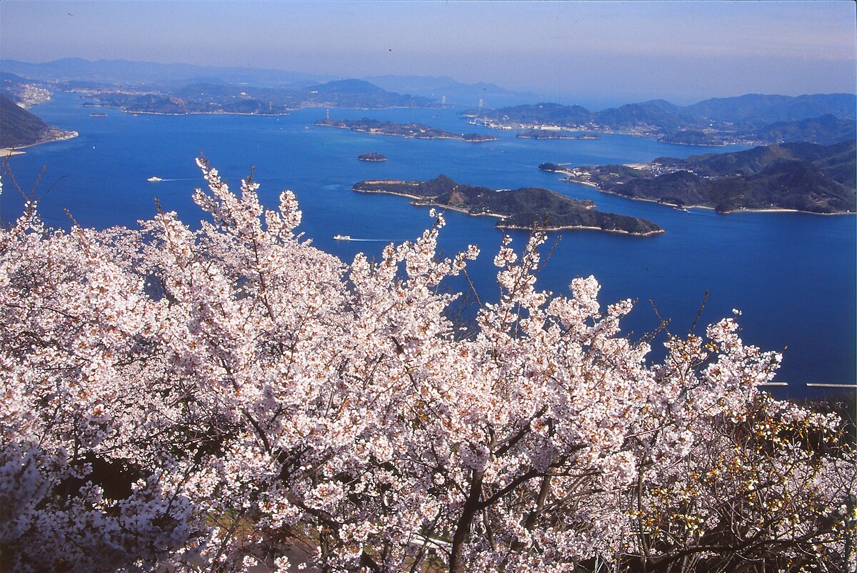 龍王山不只是賞櫻名勝，更是眺望瀨戶內海最好的展望台，放晴時還能看到四國地區的山巒。