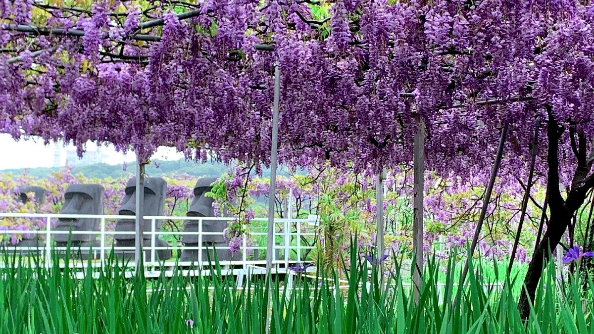 一號屯山園區有摩艾石像