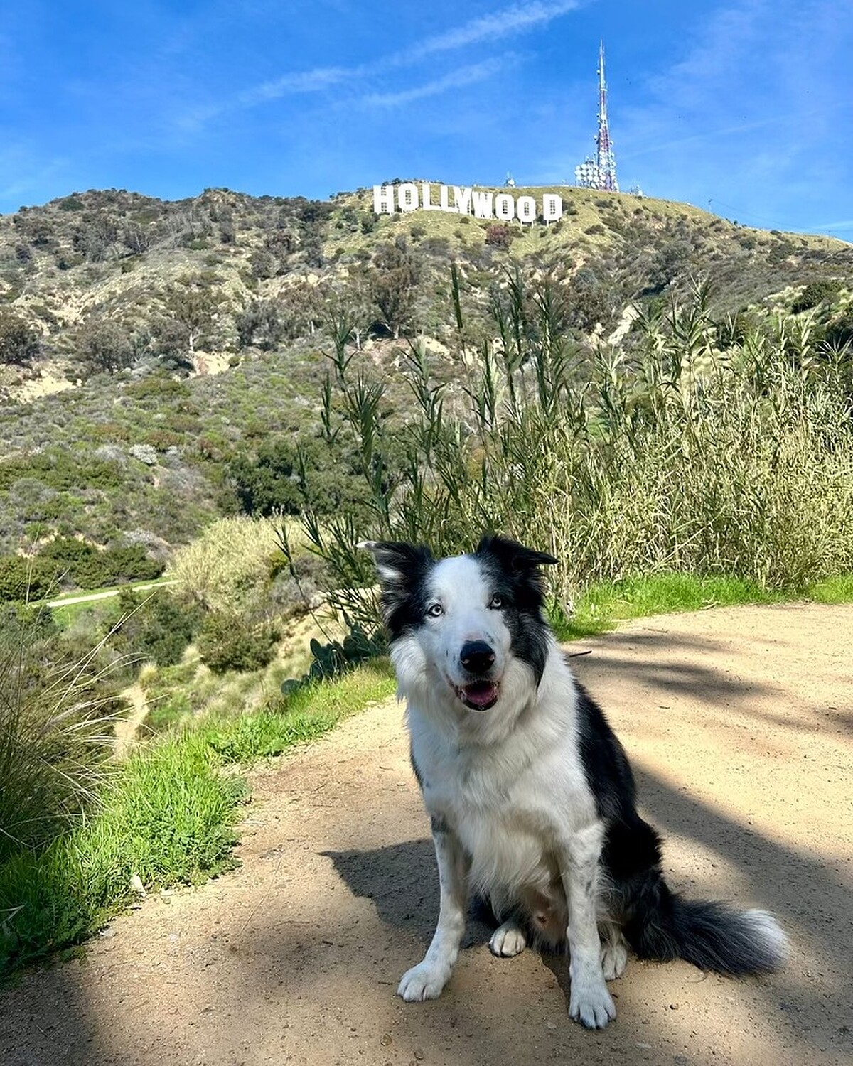 Messi抵達洛杉磯參加頒獎典禮