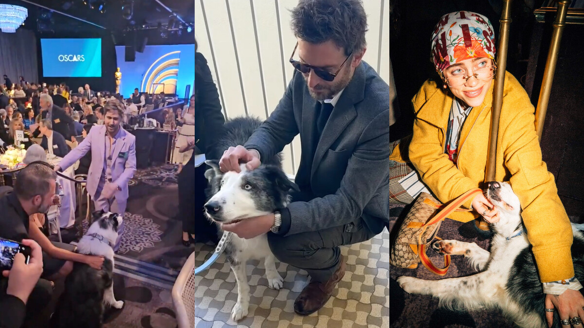 Messi與萊恩葛斯林、布萊德利庫柏與怪奇比莉互動