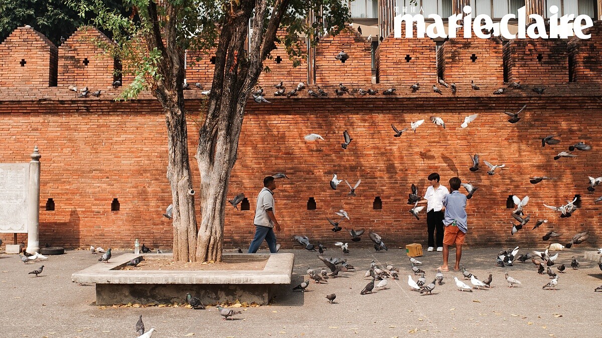 清邁古城塔佩門