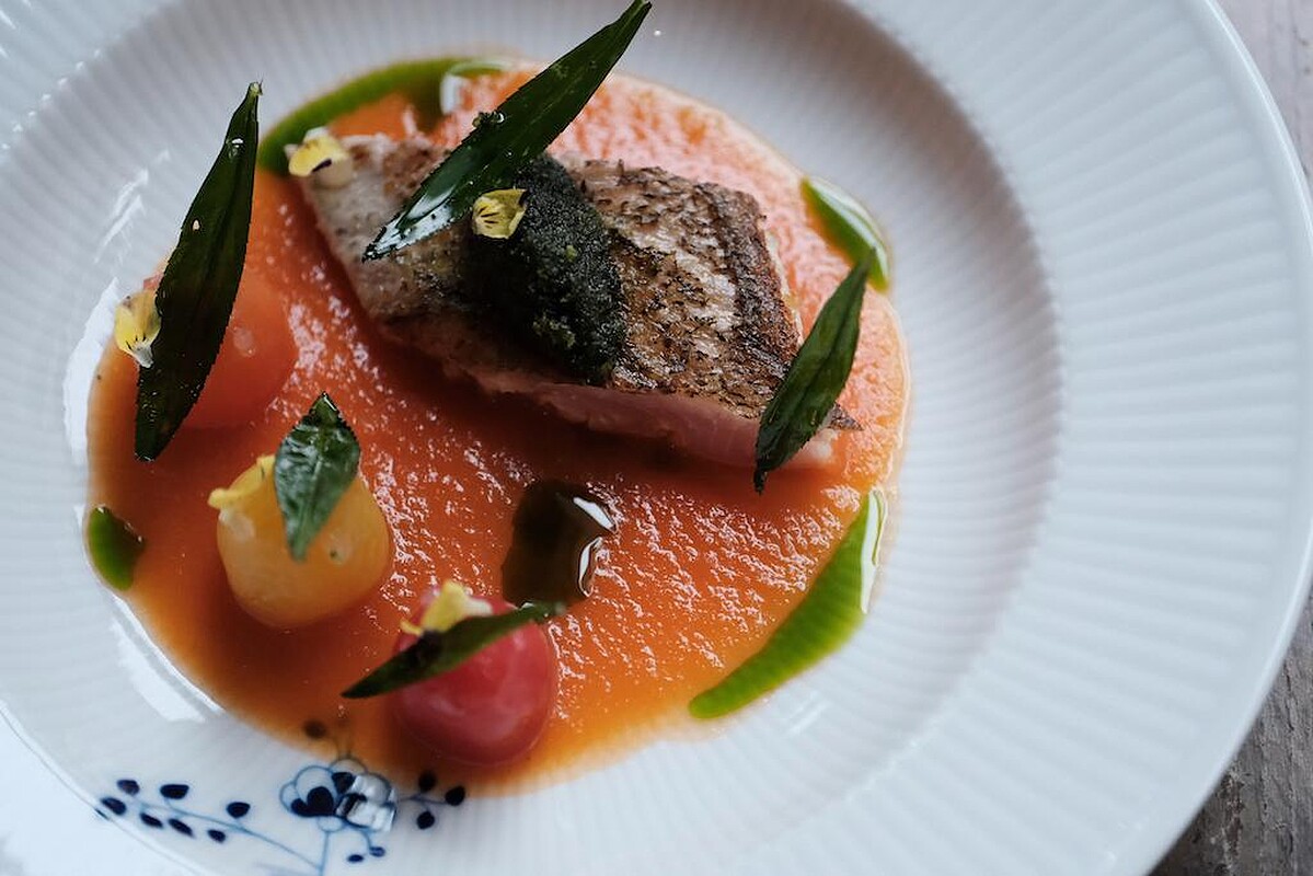 「墨西哥龍艾/百里香/羅勒/澎湖秋姑/蕃茄」。