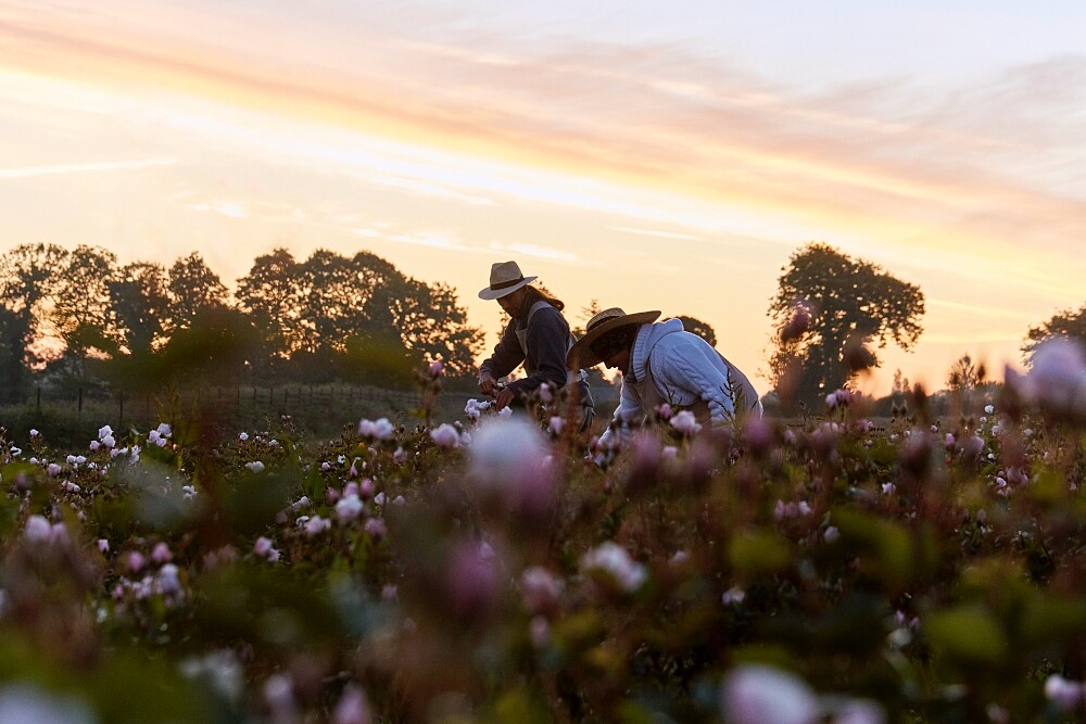 Dior迪奧岡維拉伊甸花園。