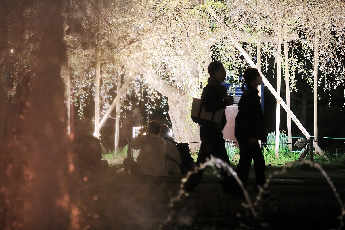 夜間有大型燈光音樂秀。