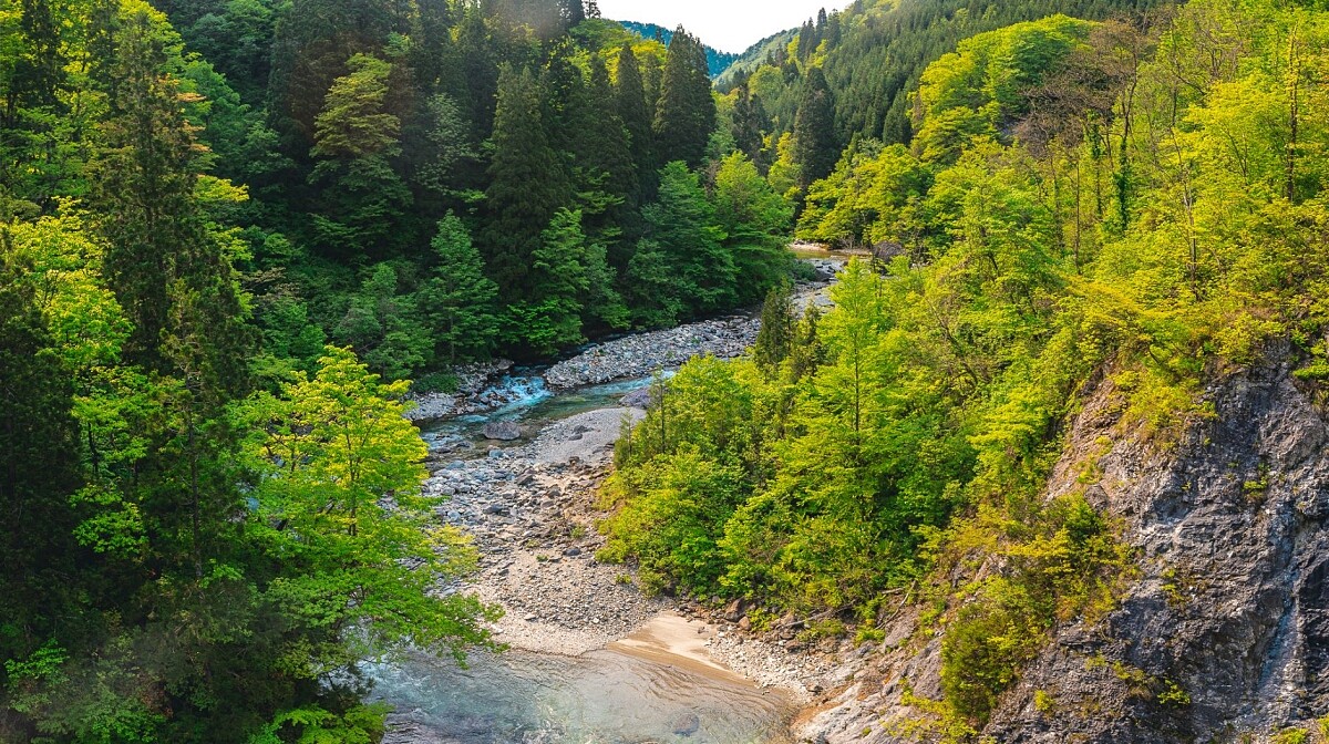 白神地區」由能代市、藤里町、三種町和八峰町組成。