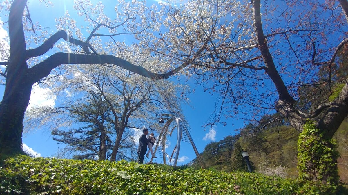 賞櫻外也是庇佑戀情的觀光勝地。