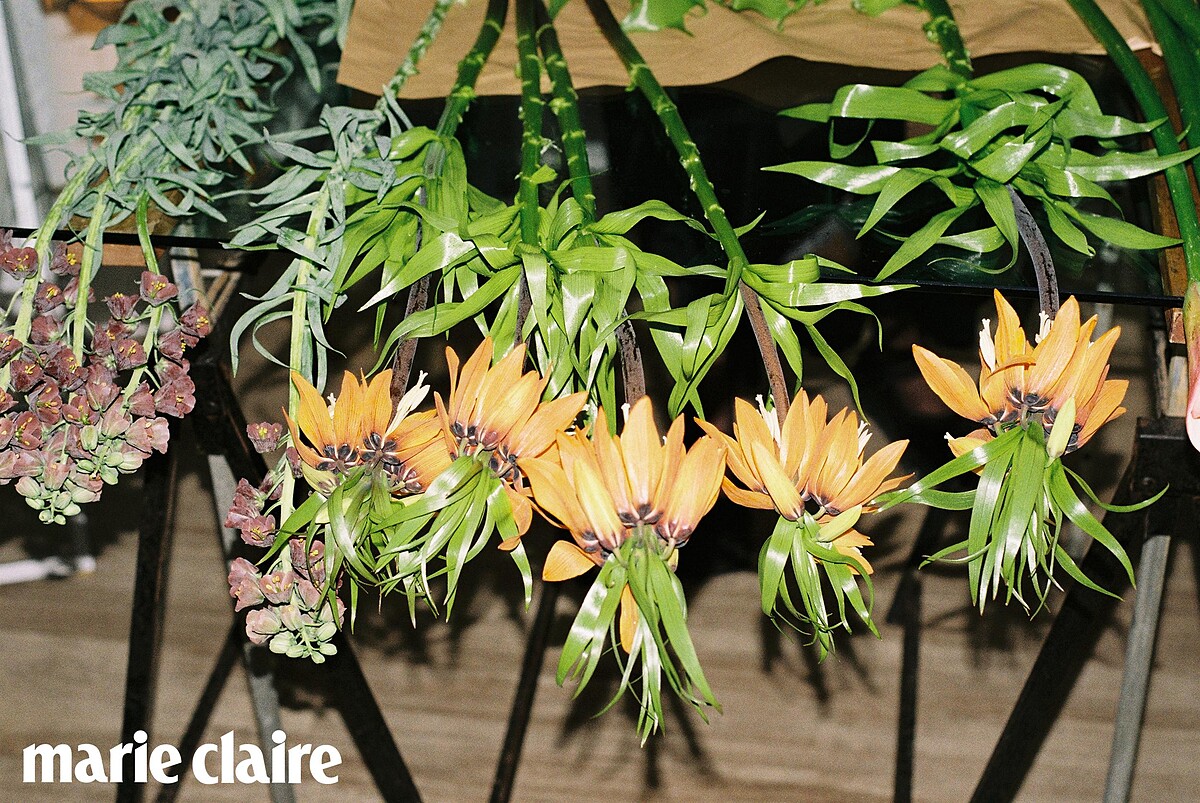 擅長使用大面積的色塊作為創作元素。