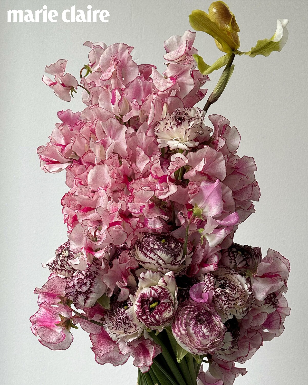 送給 John Galliano 的花禮。