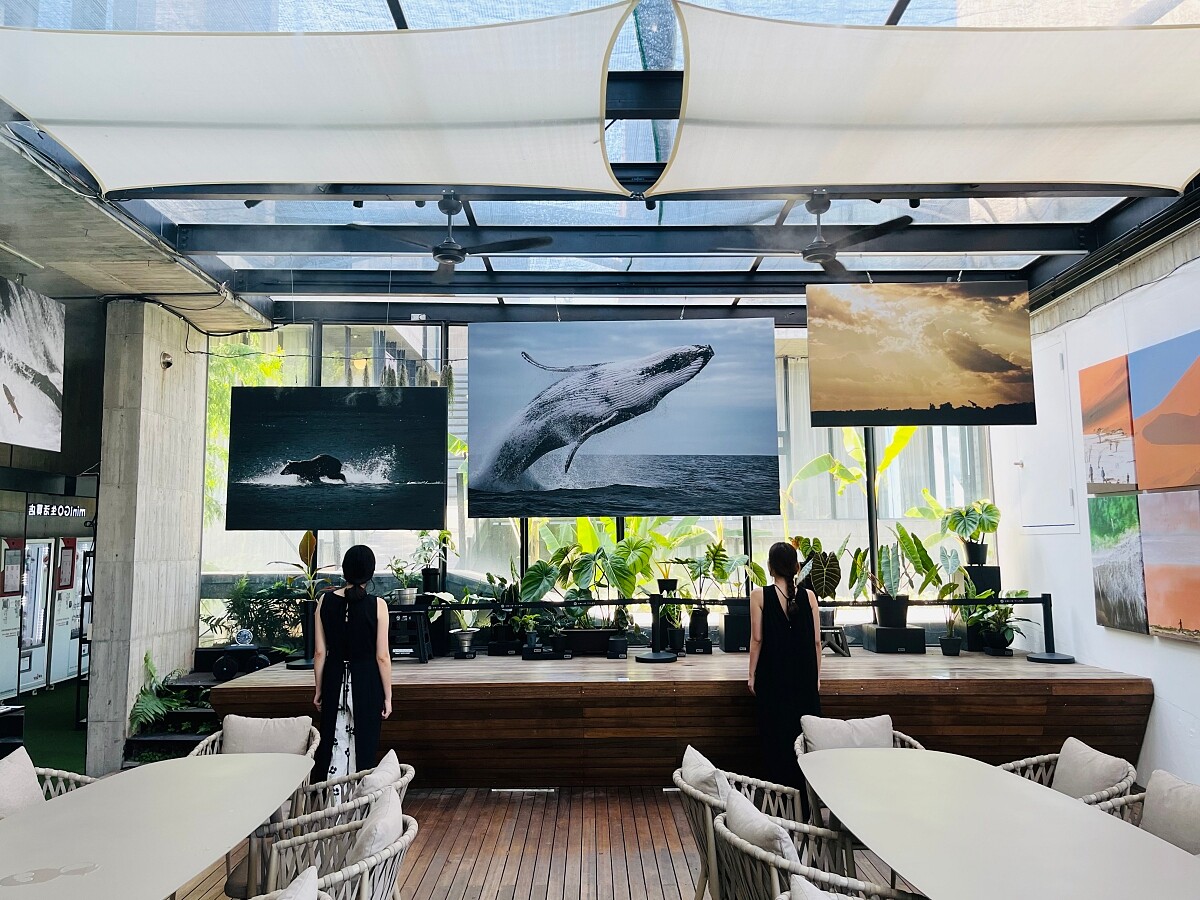 過去曾經展出攝影師「馬賽 Kyo」的作品。