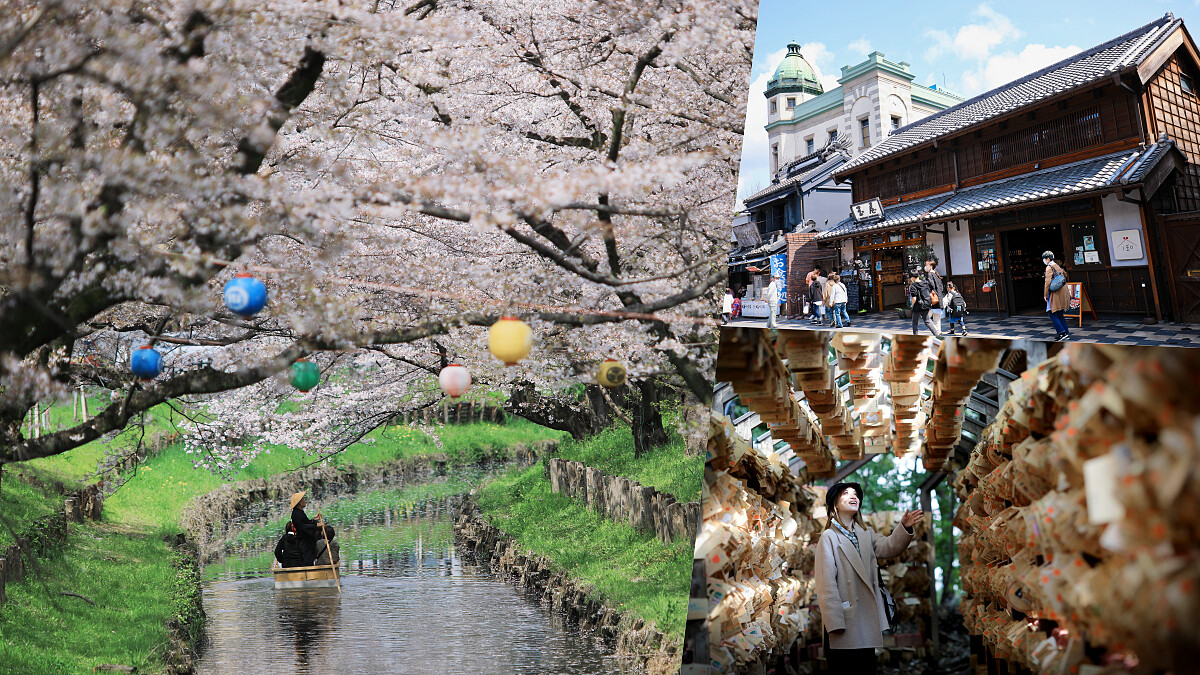 下一站 City+｜東京近郊賞櫻秘境推薦穿越古今到川越，在「小江戶」老街美景、櫻花雨中求姻緣