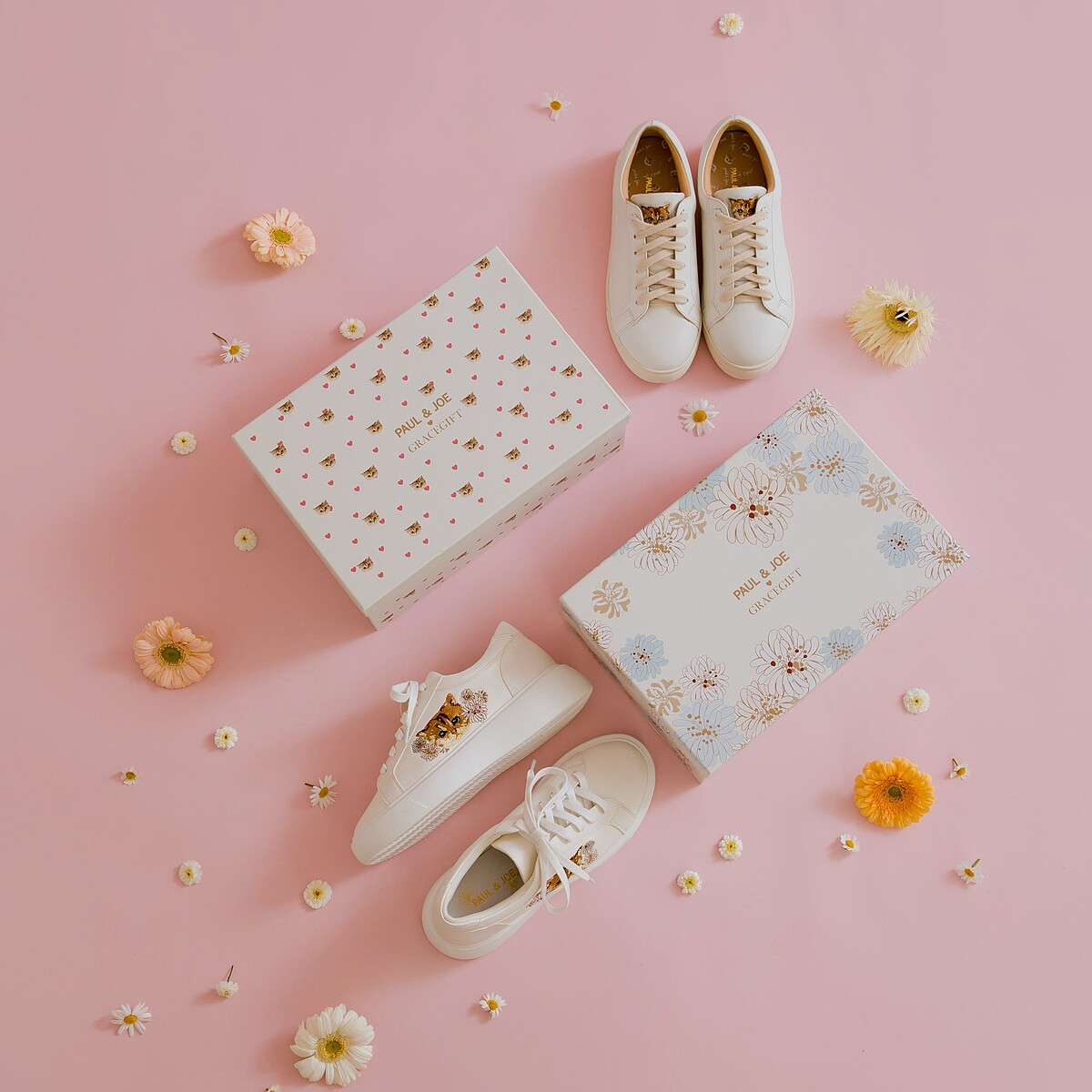 Paul & Joe x Grace Gift公益聯名系列形象圖。