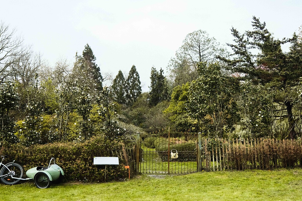 期待中的花園大門即將打開