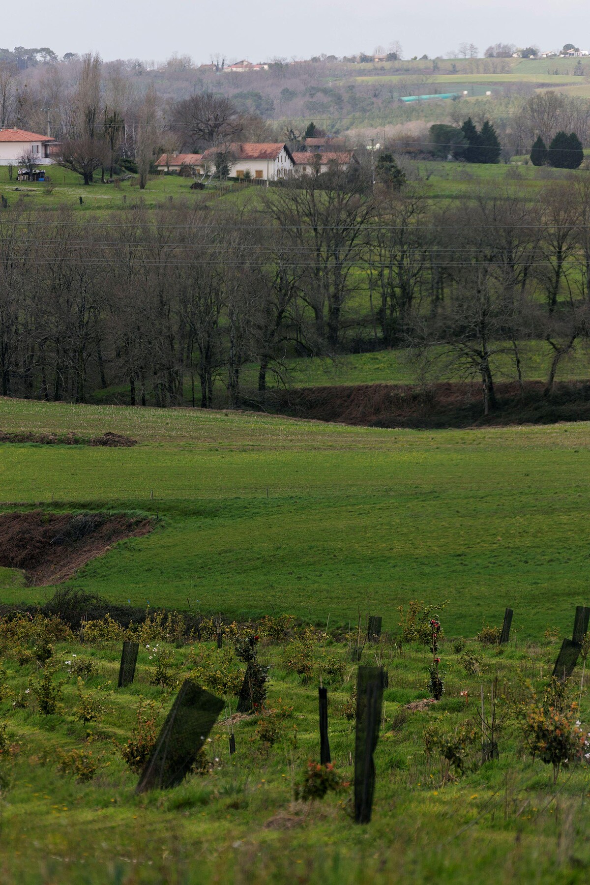 農林混作系統&mdash;為農作物與林木同時並存，林木可以提供家畜、植物遮蔭與庇護，而家畜可以抑制雜草的生長。
