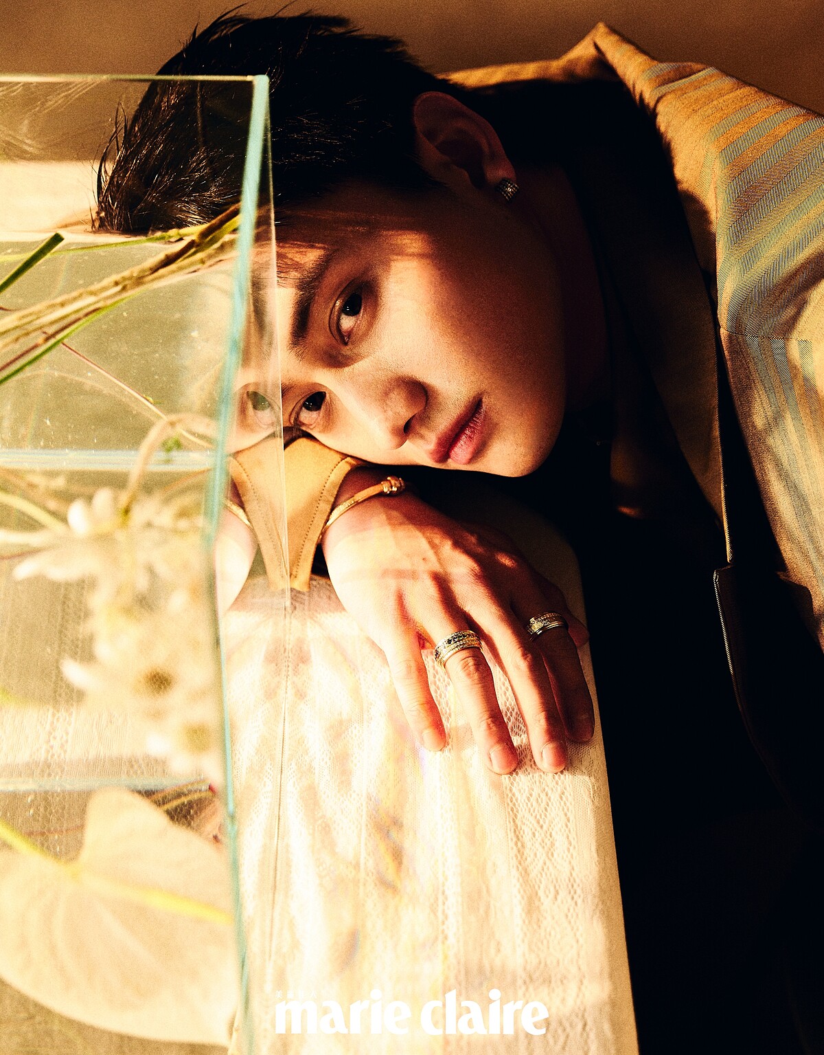 范少勳／黃褐色羊毛西裝外套、灌木叢色棉質襯衫，both by Burberry；Possession系列18K玫瑰金宮廷式雕刻飾紋手鐲、藍寶石耳環、彩色藍寶石戒指、鑽石戒指，all by Piaget。