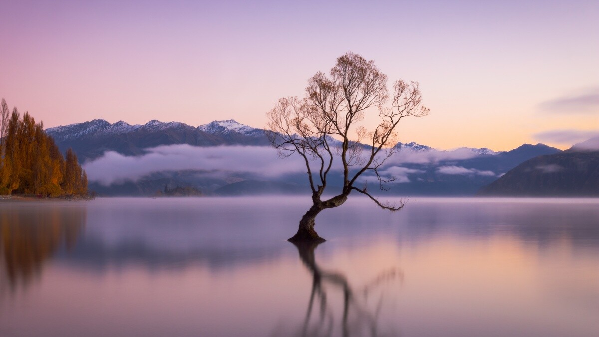 瓦納卡湖Lake Wanaka