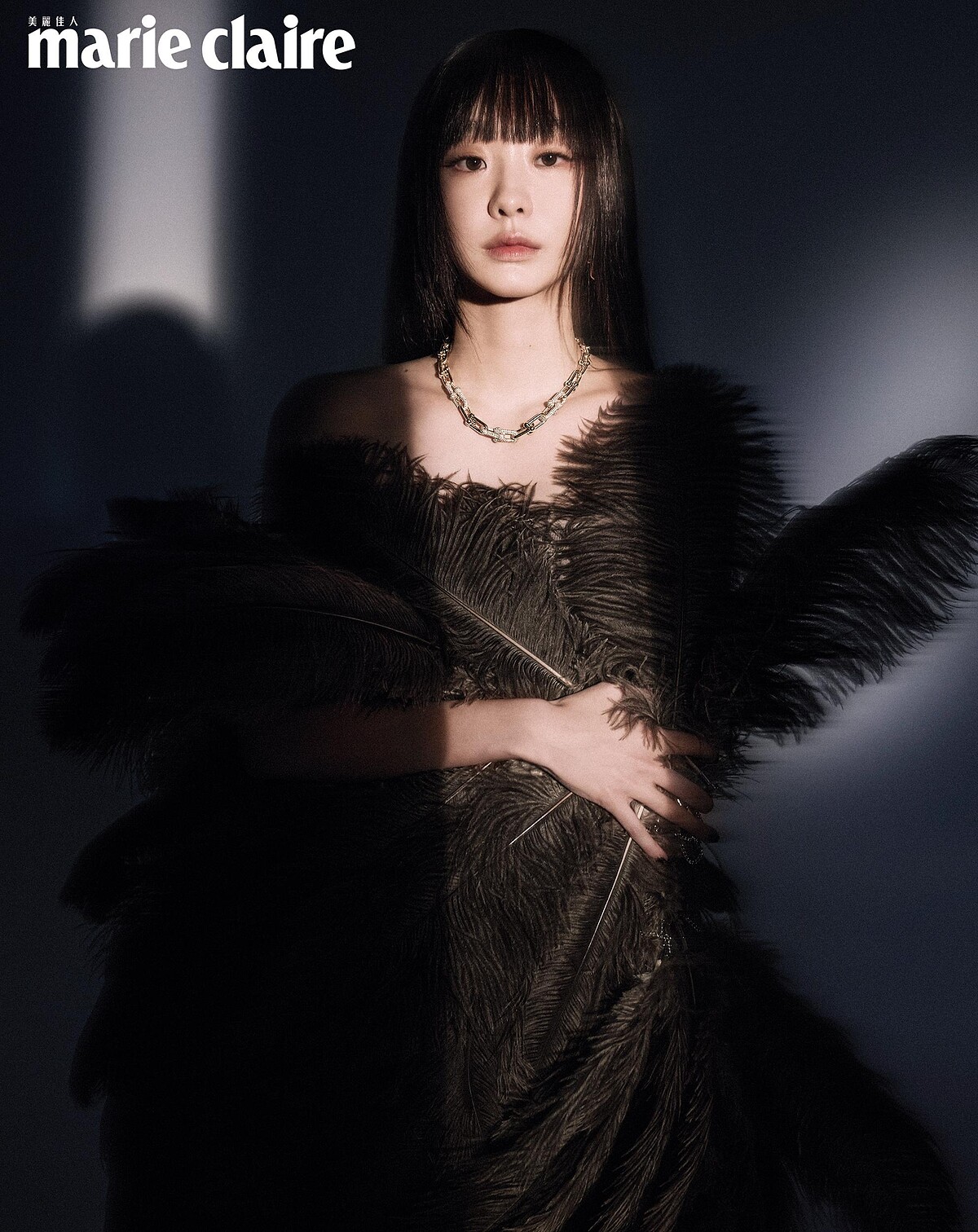 18K金鑲鑽 Tiffany HardWear 系列項鍊,Tiffany & Co.。 黑色羽毛上衣,The tis。