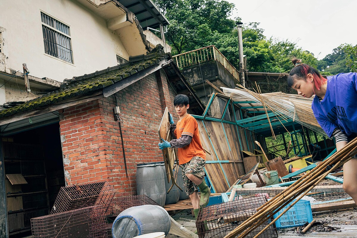 《莎莉》林柏宏透露拍攝颱風肆虐雞舍一幕時很心疼動物雞