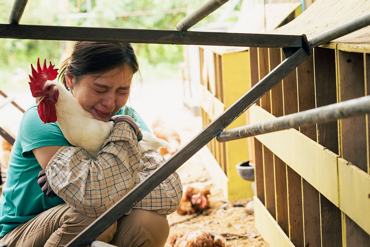 劉品言坦言《莎莉》中一幕颱風肆虐雞舍的場景讓她相當不捨
